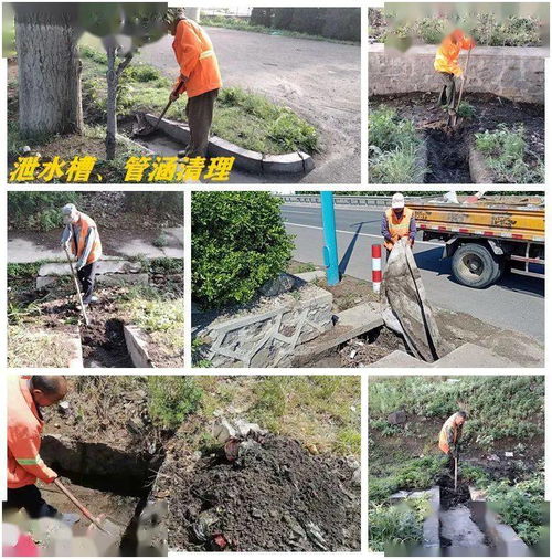 蓬莱境内国省干线公路路域环保综合整治日志