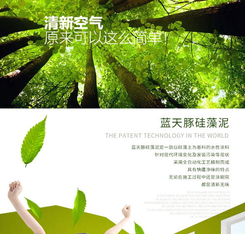 蓝天豚水性硅藻泥纳米天使 环保内墙涂料 除甲醛净化空气涂料价格,图片,参数 建材壁纸壁布墙艺漆 北京房天下家居装修网