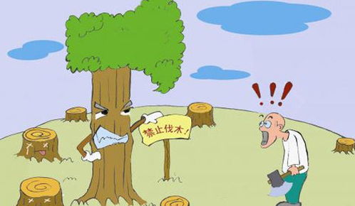 一场关于环保的审判作文350字